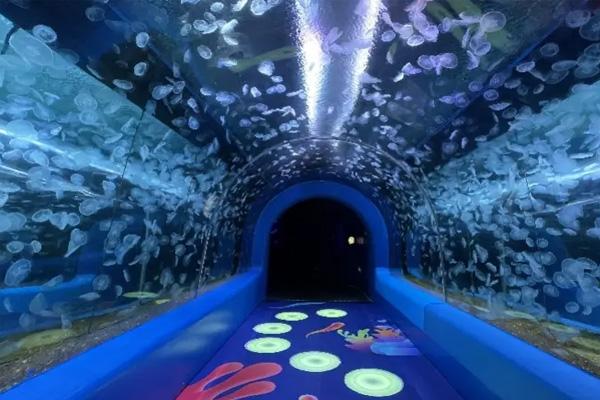 2022深圳观澜海洋世界门票多少钱九游会J9 J9九游会(图1)