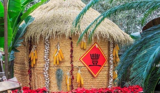 深入荷兰美食文化：探寻奶酪、九游会J9 J9九游会鳕鱼和荷包蛋的故事(图7)