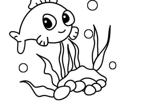 J9九游会 九游会J9儿童画海底世界简笔画怎么画 带颜色海底世界简笔画教程(图2)