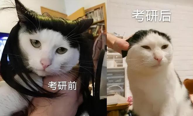 九游会J9 J9九游会学生大胆公布考研前后对比照众多网友表示吃惊真的是一个人？(图4)