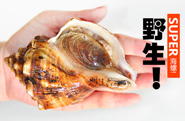J9九游会 九游会J9海洋食品直供市民 产地价格配送到家(图5)