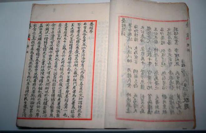 九游会J9 J9九游会相约浙博 “海洋文化馆”里有什么听听浙江人出海8000年的故事(图4)