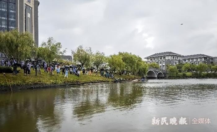 同学们免费吃鱼了！上海海洋大学师生校园内“围捕”1300余斤鱼最大85斤J9九游会 九游会J9(图3)