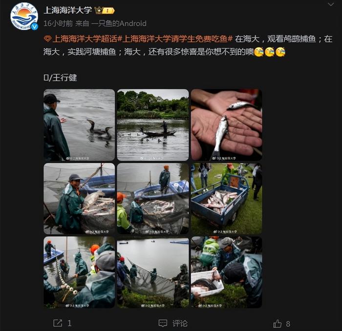 同学们免费吃鱼了！上海海洋大学师生校园内“围捕”1300余斤鱼最大85斤J9九游会 九游会J9(图5)