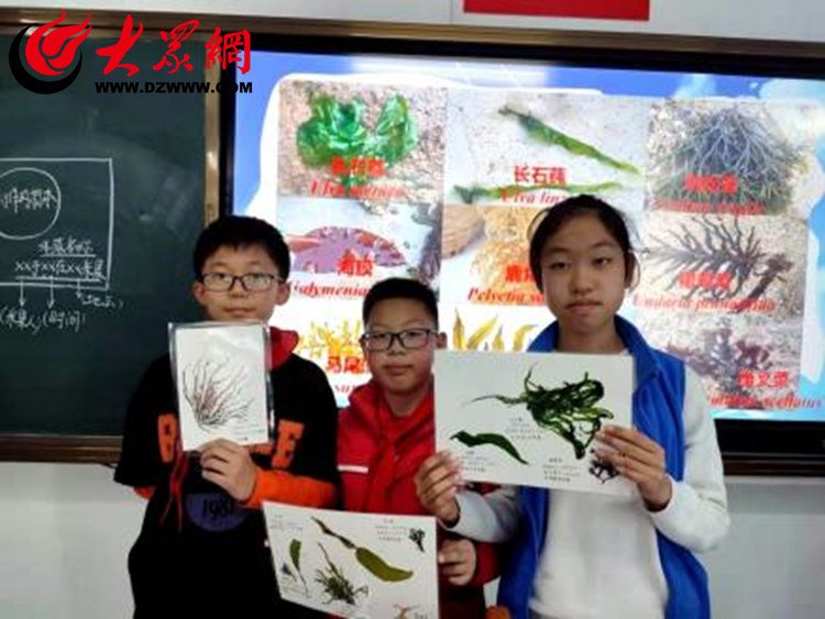 九游会J9 J9九游会“借力海洋课程研发 打造教育特色品牌” 山东大学实验学校海洋校本课程的探索与实践(图5)