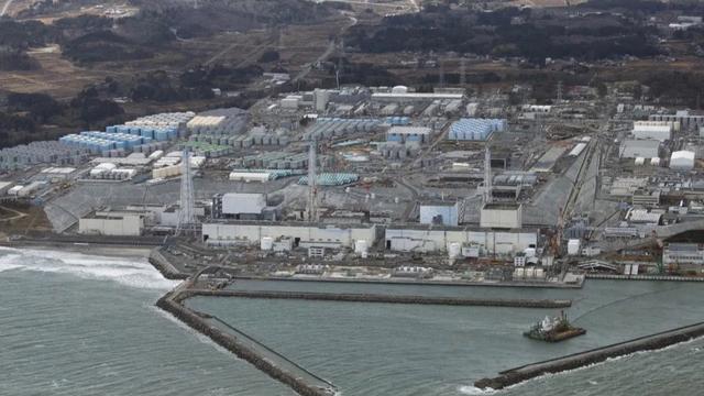 九游会J9 J9九游会日本渔民痛哭！大量海洋生物转移网友：黑色地球可能会成为现实(图1)