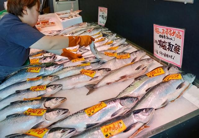 九游会J9 J9九游会日本渔民痛哭！大量海洋生物转移网友：黑色地球可能会成为现实(图6)