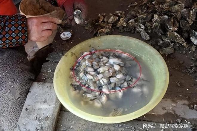 日寇的收割与灭绝！毁灭海洋、控制粮食、日本做法实在太可恶！九游会J9 J9九游会(图2)