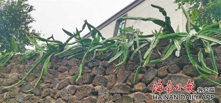 九游会J9 J9九游会海南地名中的“动物世界”(图2)