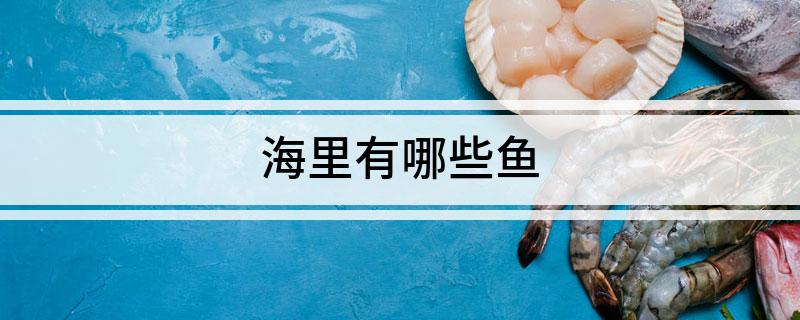 九游会J9 J9九游会海里有哪些鱼(图1)