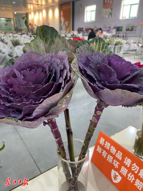 九游会J9 J9九游会这里春花烂漫有姑娘一大早就来买花3束鲜花50多元(图1)