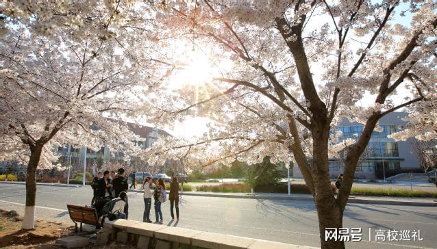 一文详解：中国海洋大学怎么九游会J9 J9九游会样？好不好？(图2)