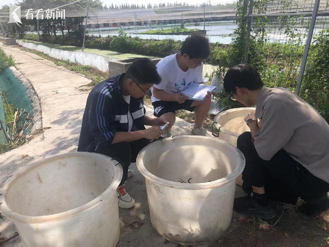 九游会J9 J9九游会头鱼85斤！上海海洋大学师生拉网起鱼庆丰收(图4)