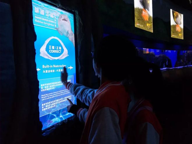J9九游会 九游会J9海洋探索：解开你心中的“海蓝之谜”(图6)