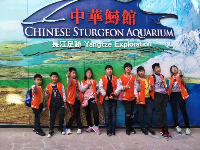 J9九游会 九游会J9海洋探索：解开你心中的“海蓝之谜”(图11)