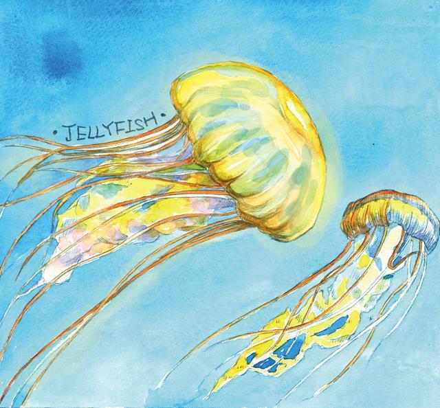 J9九游会 九游会J9海洋生物也看颜值？(图1)
