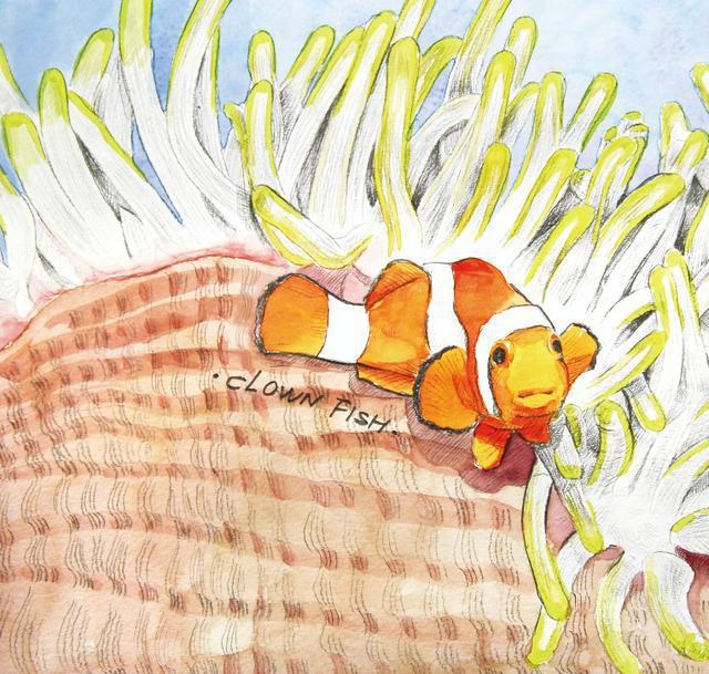 J9九游会 九游会J9海洋生物也看颜值？(图3)