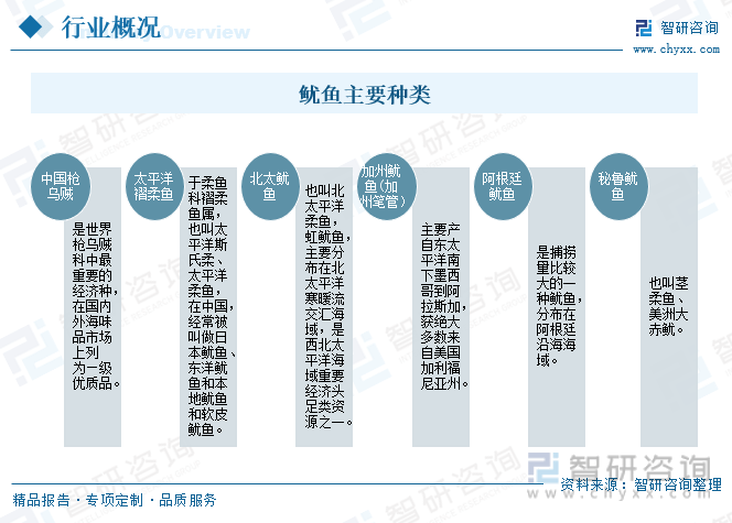 一文深度了解2023年中国鱿鱼行业市场规模、产业链九游会J9 J9九游会及前景趋势——智研咨询发布(图2)
