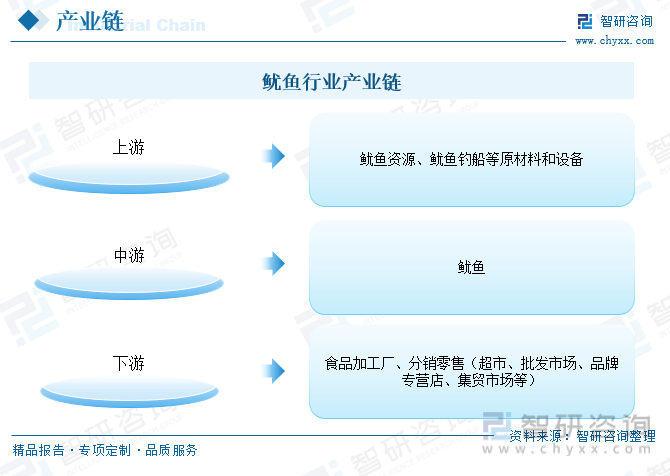 一文深度了解2023年中国鱿鱼行业市场规模、产业链九游会J9 J9九游会及前景趋势——智研咨询发布(图7)