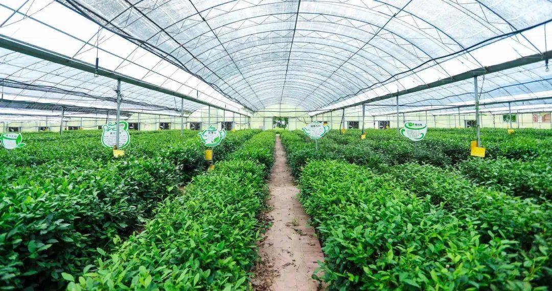 海洋美食文化节来啦！吃货九游会J9 J9九游会们约起！(图3)