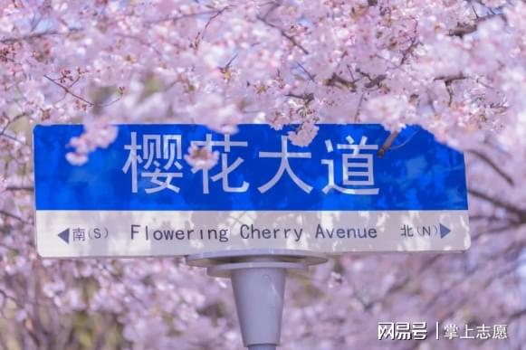 中国九游会J9 J9九游会海洋大学怎么样？好不好？性价比高想上985的同学看过来！(图4)