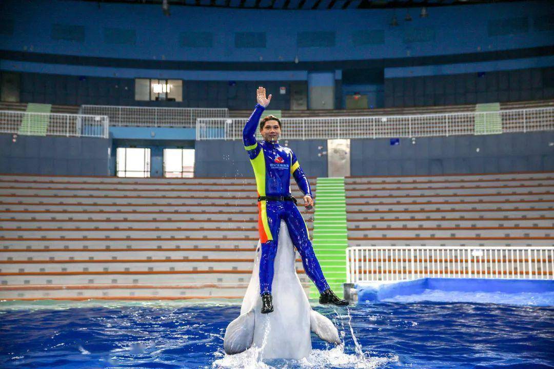 J9九游会 九游会J9599元起秒罗源湾海洋世界门票！20万㎡梦幻海洋世界美人鱼、海豚、白鲸…等你来(图1)