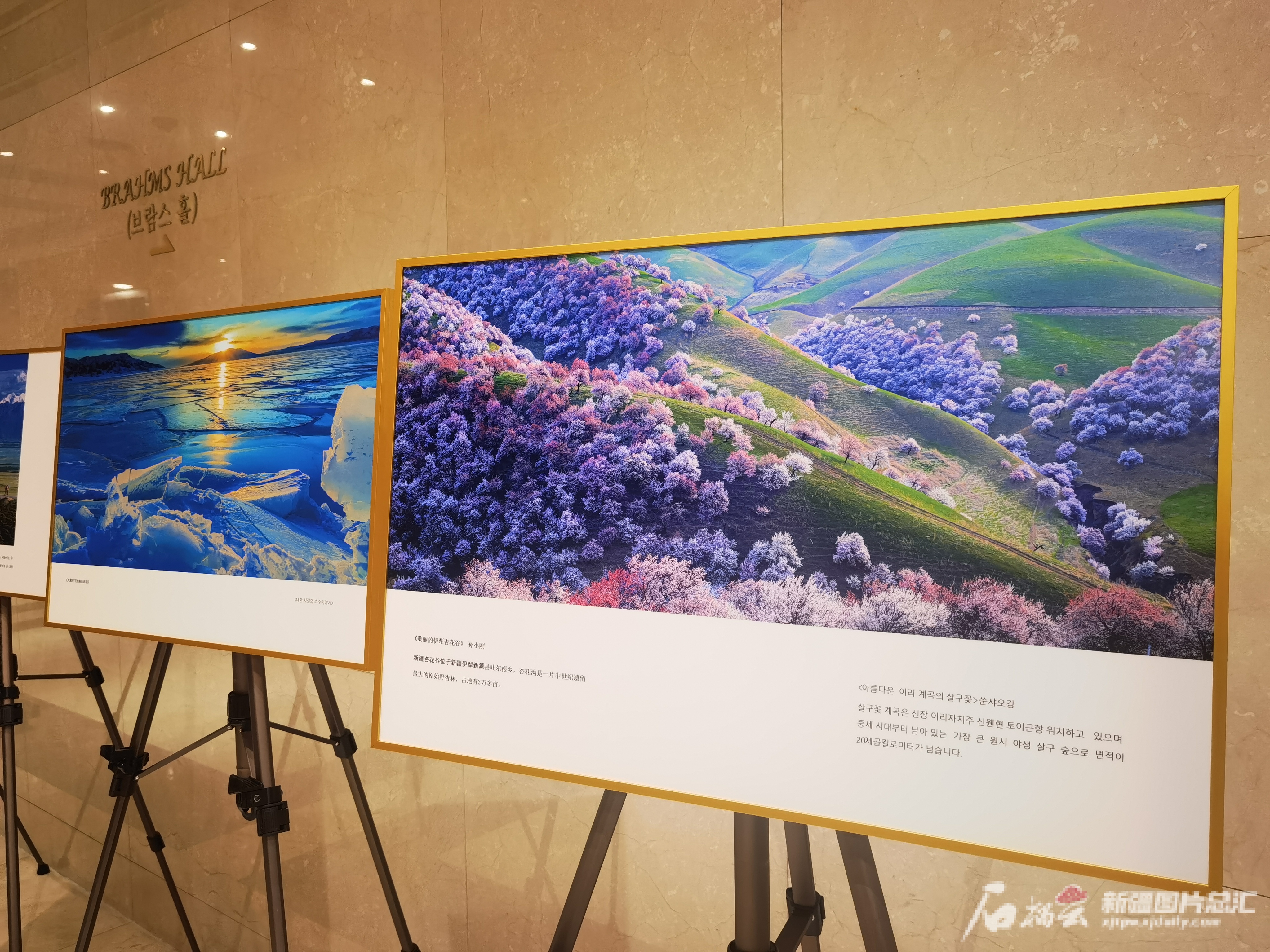 邀J9九游会 九游会J9你跨越山和大海赴一场新疆之约(图5)