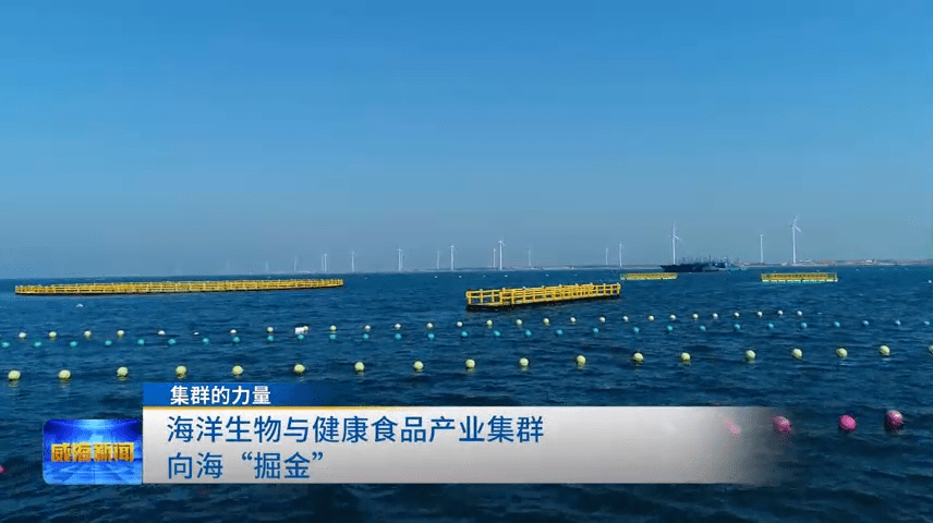 九游会J9 J9九游会集群的力量 海洋生物与健康食品产业集群向海“掘金”(图1)