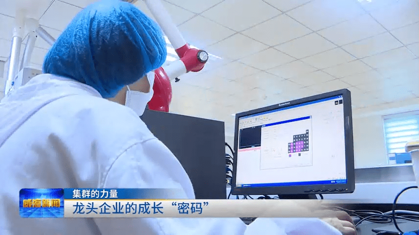 九游会J9 J9九游会集群的力量 海洋生物与健康食品产业集群向海“掘金”(图3)