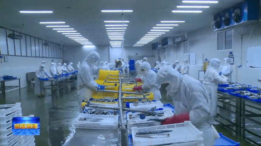 九游会J9 J9九游会集群的力量 海洋生物与健康食品产业集群向海“掘金”(图8)