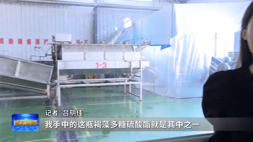 九游会J9 J9九游会集群的力量 海洋生物与健康食品产业集群向海“掘金”(图10)