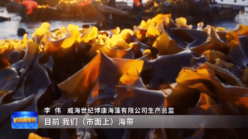 九游会J9 J9九游会集群的力量 海洋生物与健康食品产业集群向海“掘金”(图12)