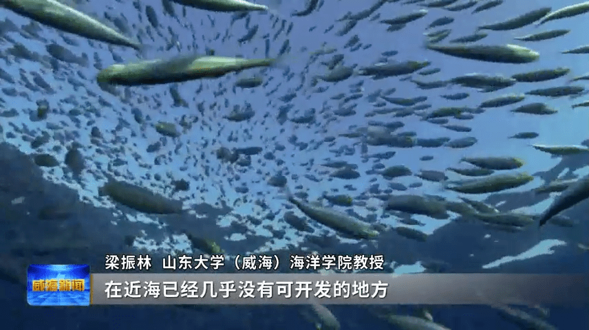 九游会J9 J9九游会集群的力量 海洋生物与健康食品产业集群向海“掘金”(图14)