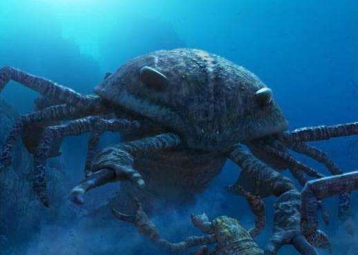 世界各地神秘生九游会J9 J9九游会物搜奇：海洋巨型生物之谜(图2)