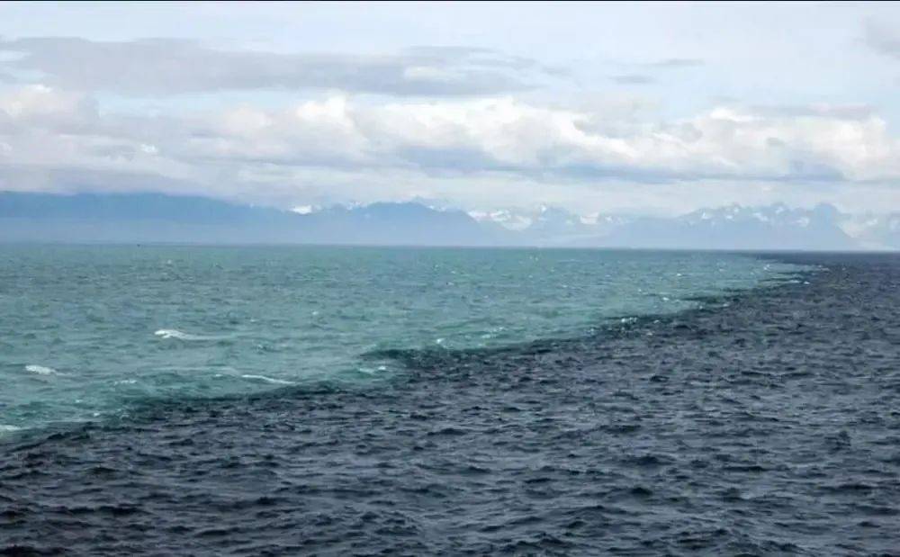 J9九游会 九游会J9海洋之谜解密：为何大西洋与太平洋海水互不相容？科学解释惊人！(图6)