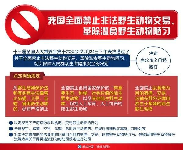 你可能不知道这些野生海鱼正面临濒危（内附J9九游会 九游会J9我国重点保护野生海水鱼类名录）(图10)