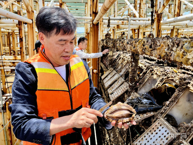 【食在山海间】福建省海洋与渔业局：大力发展“海上粮仓” 推进海洋经济高质量发展九游会J9 J9九游会(图3)
