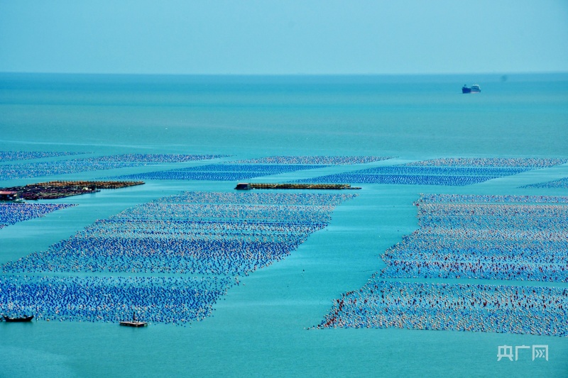 【食在山海间】福建省海洋与渔业局：大力发展“海上粮仓” 推进海洋经济高质量发展九游会J9 J9九游会(图1)