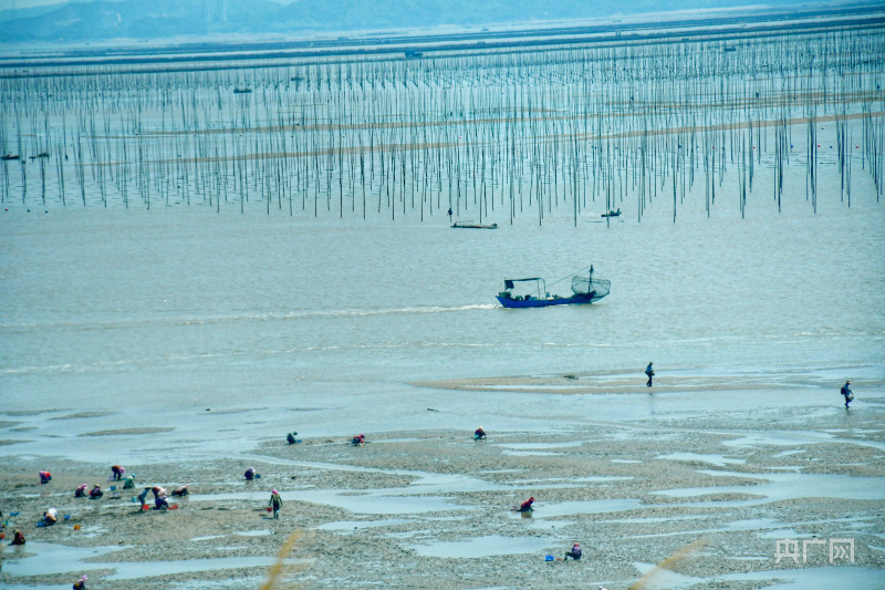 【食在山海间】福建省海洋与渔业局：大力发展“海上粮仓” 推进海洋经济高质量发展九游会J9 J9九游会(图10)