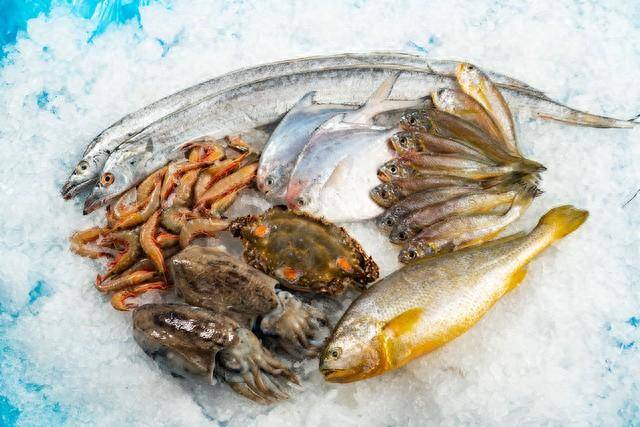 J9九游会 九游会J9食用核污染水域海产品对健康的危害有哪些？(图1)