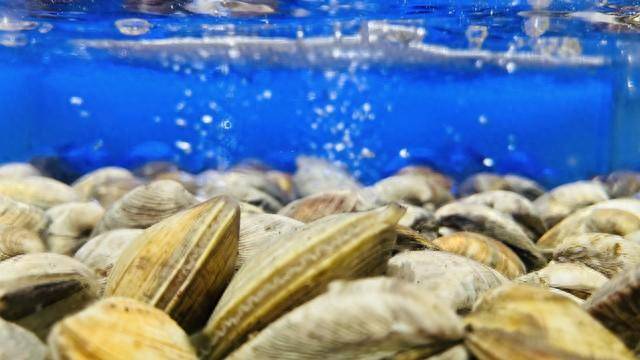 J9九游会 九游会J9食用核污染水域海产品对健康的危害有哪些？(图3)
