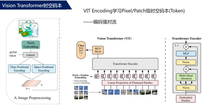 广为精细化海洋天气预报大模型发布！J9九游会 九游会J9(图1)