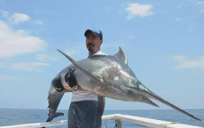 新发现：仅米粒九游会J9 J9九游会大小生物成年后变身顶级海洋猎手(图6)