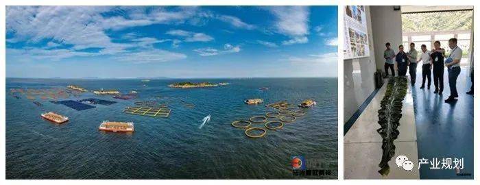 福建连江海洋生态食材食品推动大食物观与海洋生态产品价值实现J9九游会 九游会J9(图2)