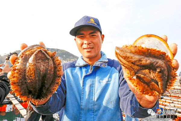 福建连江海洋生态食材食品推动大食物观与海洋生态产品价值实现J9九游会 九游会J9(图4)