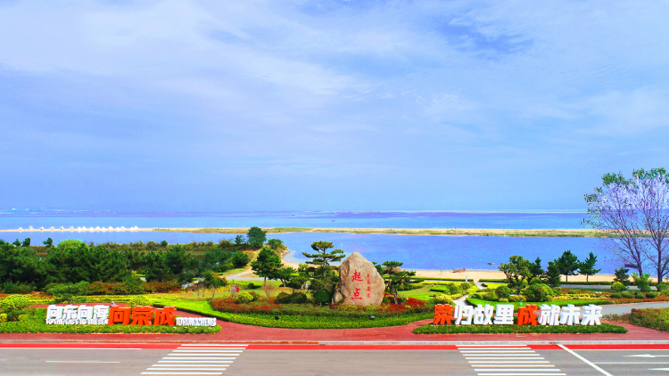 九游会J9 J9九游会现代物流产业招商推介“无锡行” 荣成元素亮相第二届中国物流高质量生态发展大会(图1)