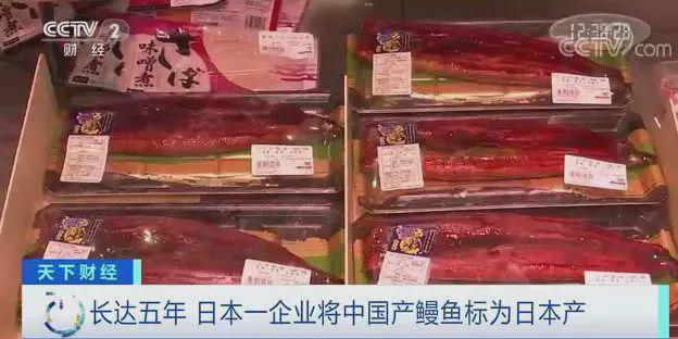 九游会J9 J9九游会【海洋物产】 日本鳗鱼中国产？“国鳗”崛起了？海洋牧场考点大全含例题！(图4)