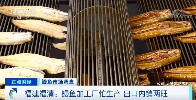 九游会J9 J9九游会【海洋物产】 日本鳗鱼中国产？“国鳗”崛起了？海洋牧场考点大全含例题！(图17)