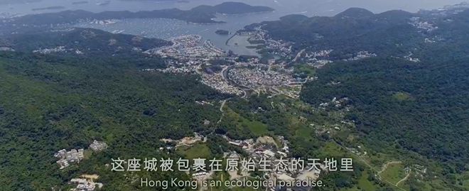 九游会J9 J9九游会央视首部！每一帧都绝美到可当壁纸的神作结果却“无人问津”？(图19)